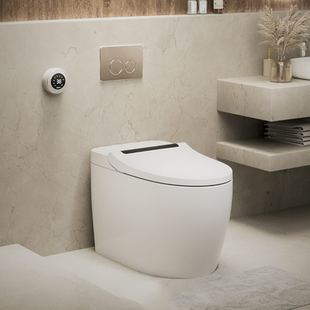 Bồn cầu | Toilet